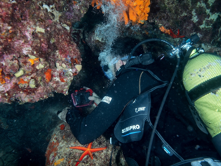 Su Altı Fotoğrafçılığı Meraklıları Karaburun'da