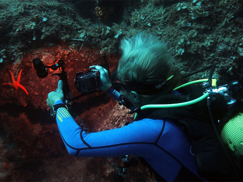 Su Altı Fotoğrafçılığı Meraklıları Karaburun'da