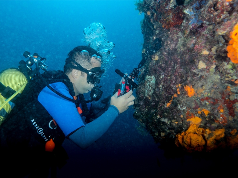 Su Altı Fotoğrafçılığı Meraklıları Karaburun'da