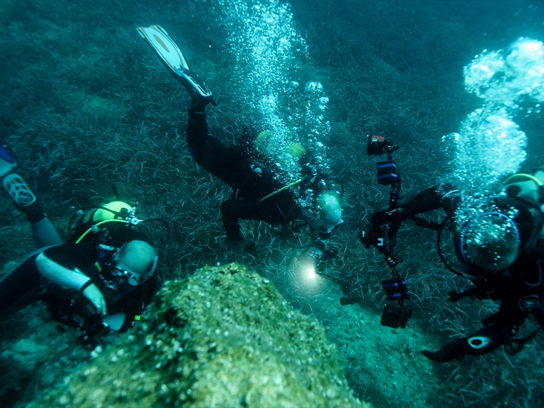 Su Altı Fotoğrafçılığı Meraklıları Karaburun'da