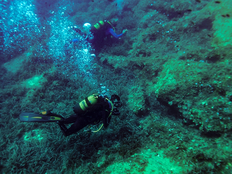 Su Altı Fotoğrafçılığı Meraklıları Karaburun'da