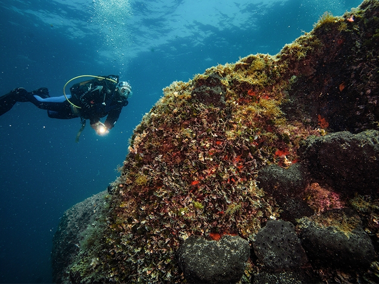 Çeşme'nin Derin Doğası